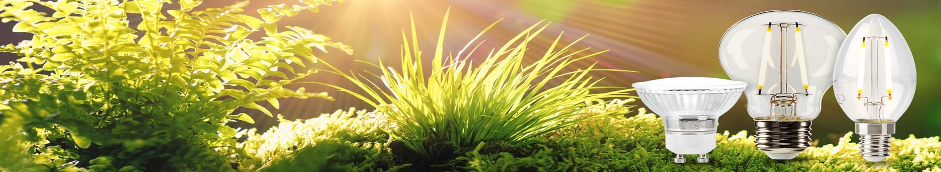 Webpage-Going Green _listerbanner_1920x540